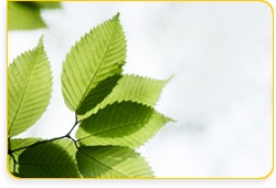 Illsutration Physiotherapie